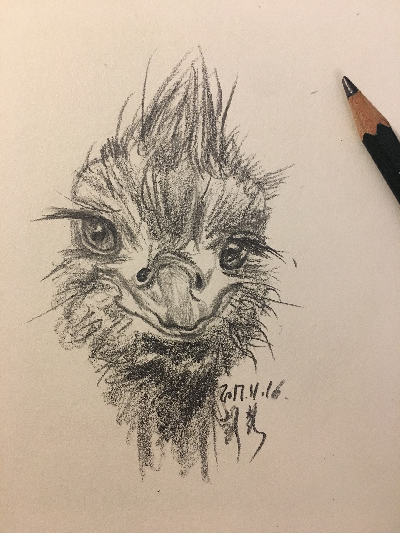 一分钟速写和速写练习