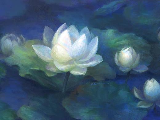 白色莲花~~