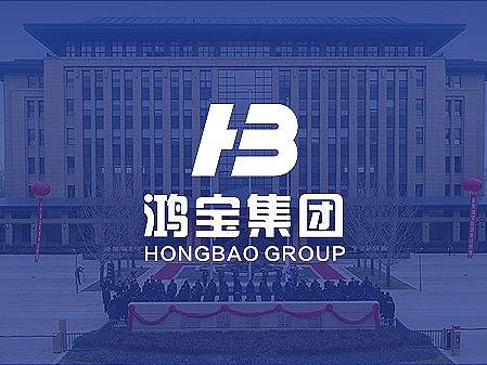 鸿宝集团年度品牌管理服务