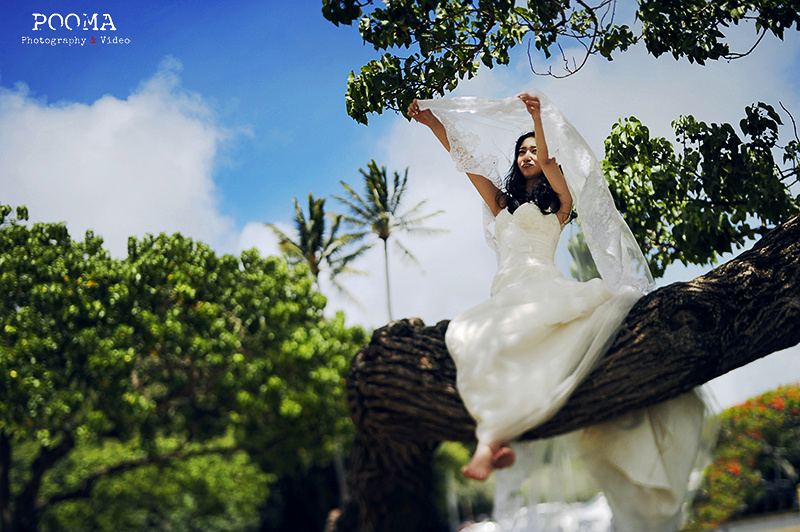 夏威夷拍婚纱(3)