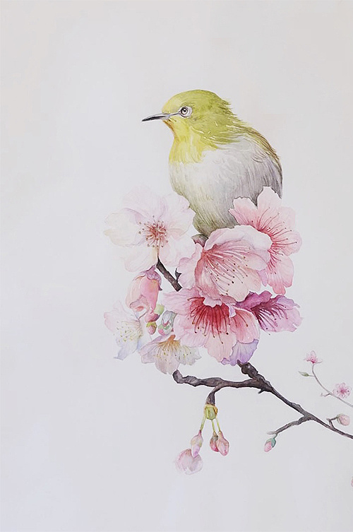 水彩习作 花朵&小鸟 |插画|插画习作|kaylee1852 - 原创作品 - 站酷