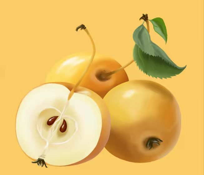 自己手绘的一些练习