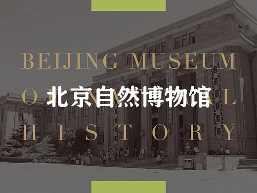 北京自然博物馆展陈