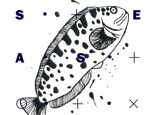 关于海洋生物生存状态插画设计