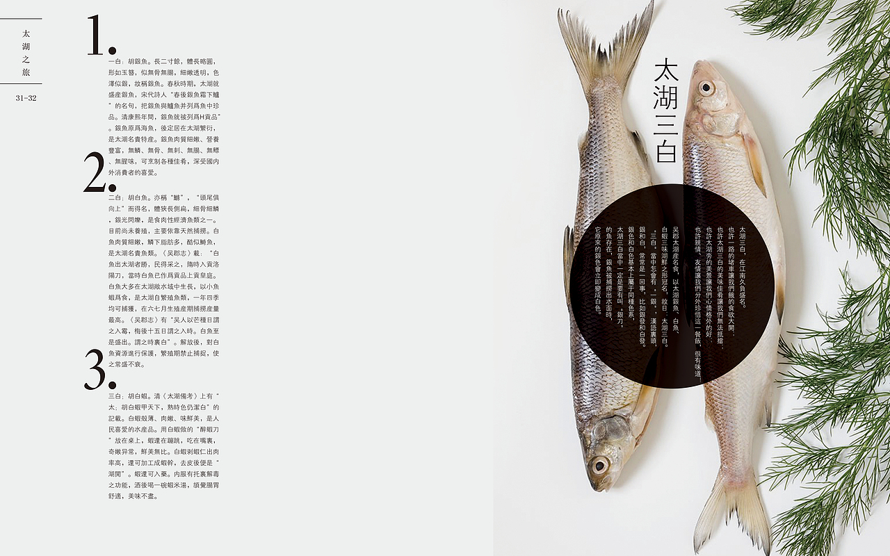 杂志（图ZMzMxMzYyNTY=） - 书籍/画册 - 站酷设计师开心是个徐西瓜原创素材 - 站酷ZCOOL