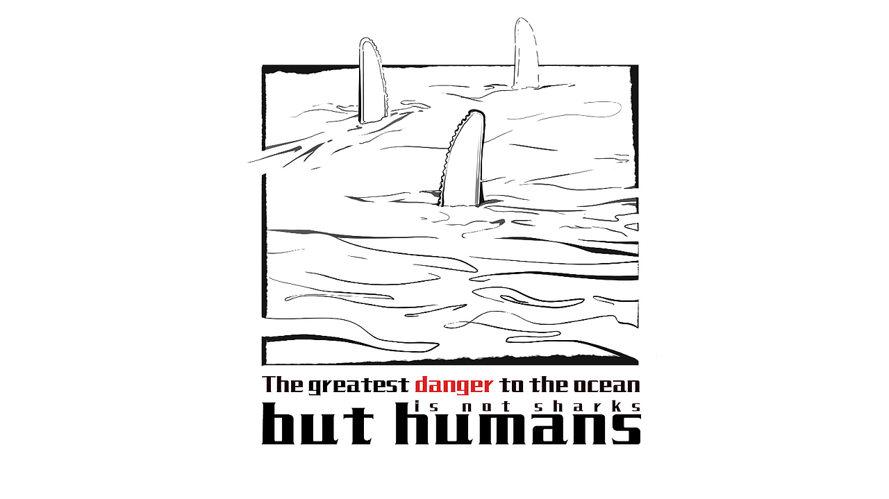 “危险”(塑料制品对海洋的伤害2)