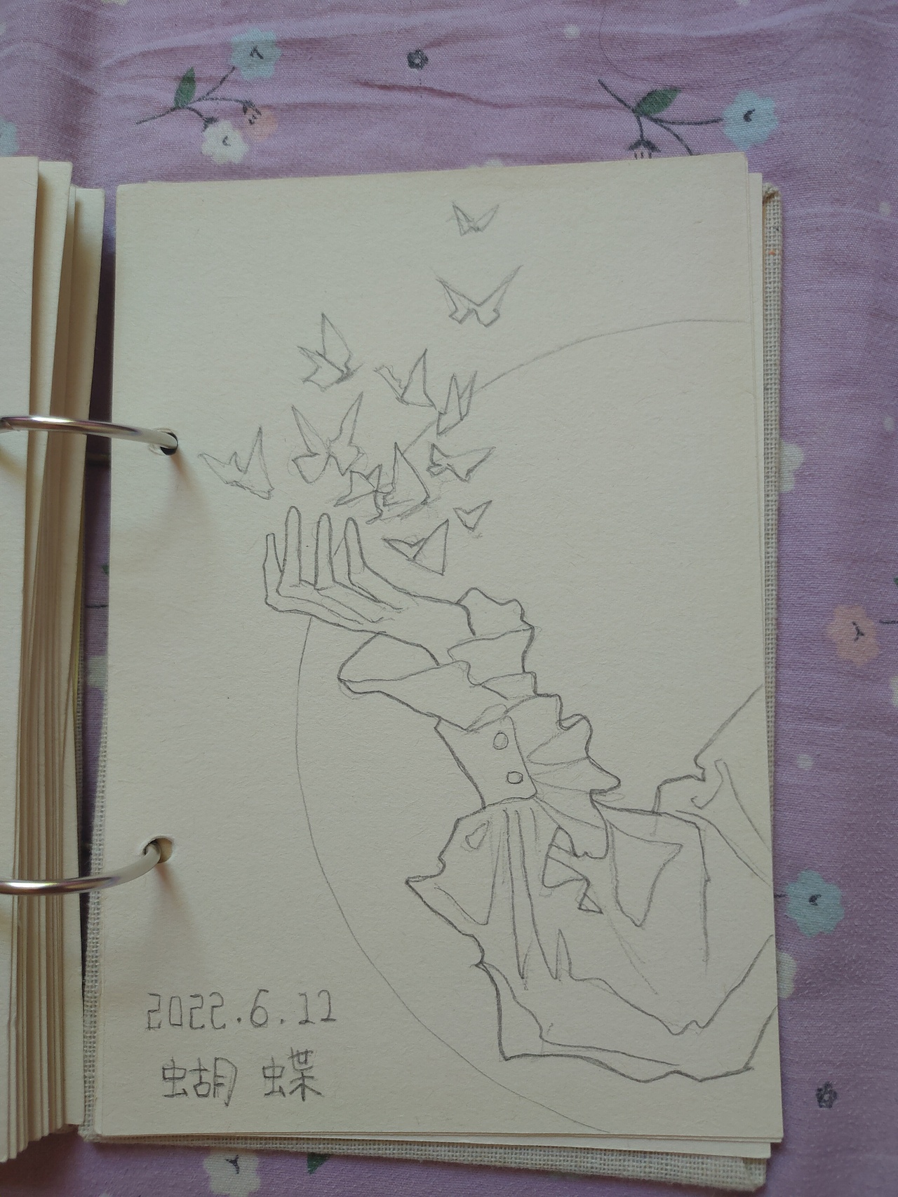 从一九年开始的心情记录本