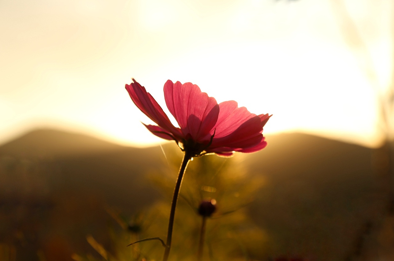 光影|摄影|风光摄影|魔王陈阳_原创作品-站酷zcool