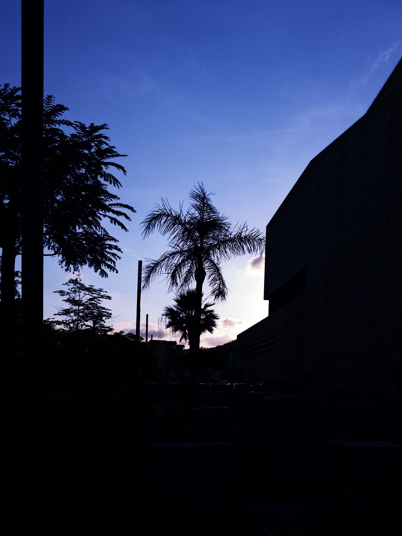 珠海市博物馆（图ZMjA4OTI1OTU2） - 其他摄影 - 站酷设计师识时务者为俊杰xx原创素材 - 站酷ZCOOL