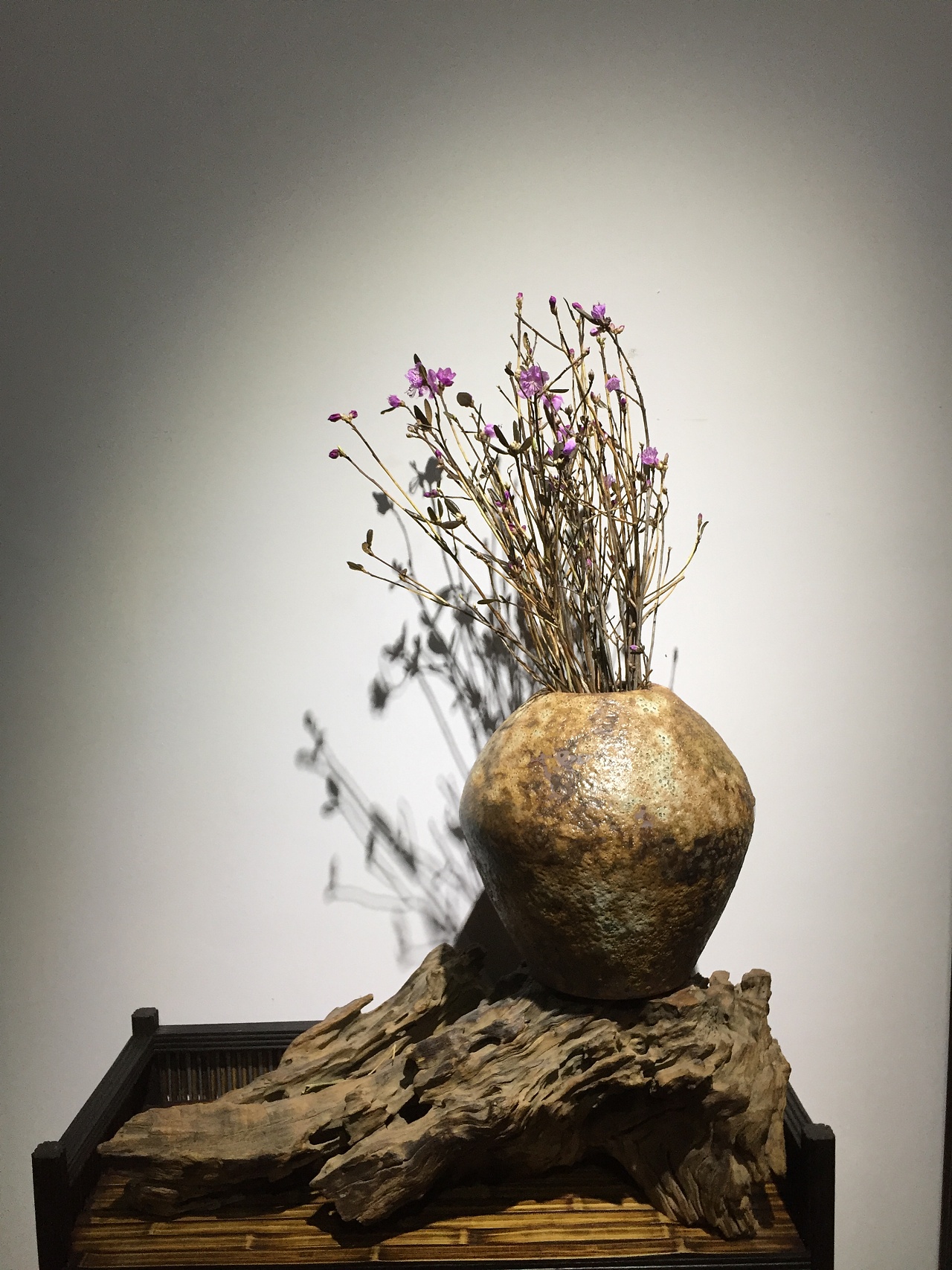 杜鹃花 干花拍摄图片