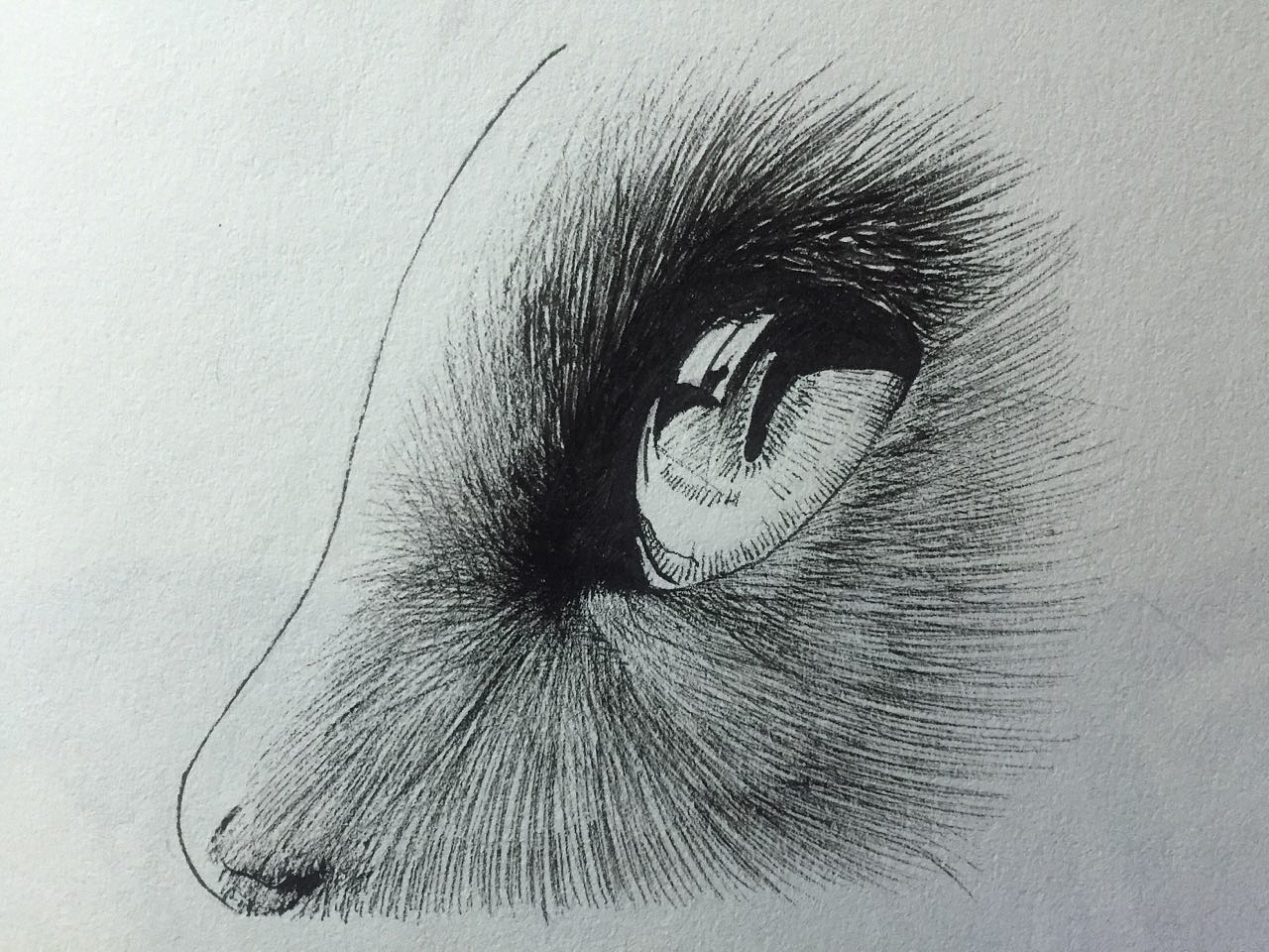 一些手绘插画练习作品（图ZMjkzOTA1NjQ=） - 创作习作 - 站酷设计师北水十四原创素材 - 站酷ZCOOL