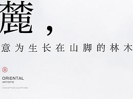 地产提案
