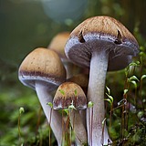 那个季节的故事的头像