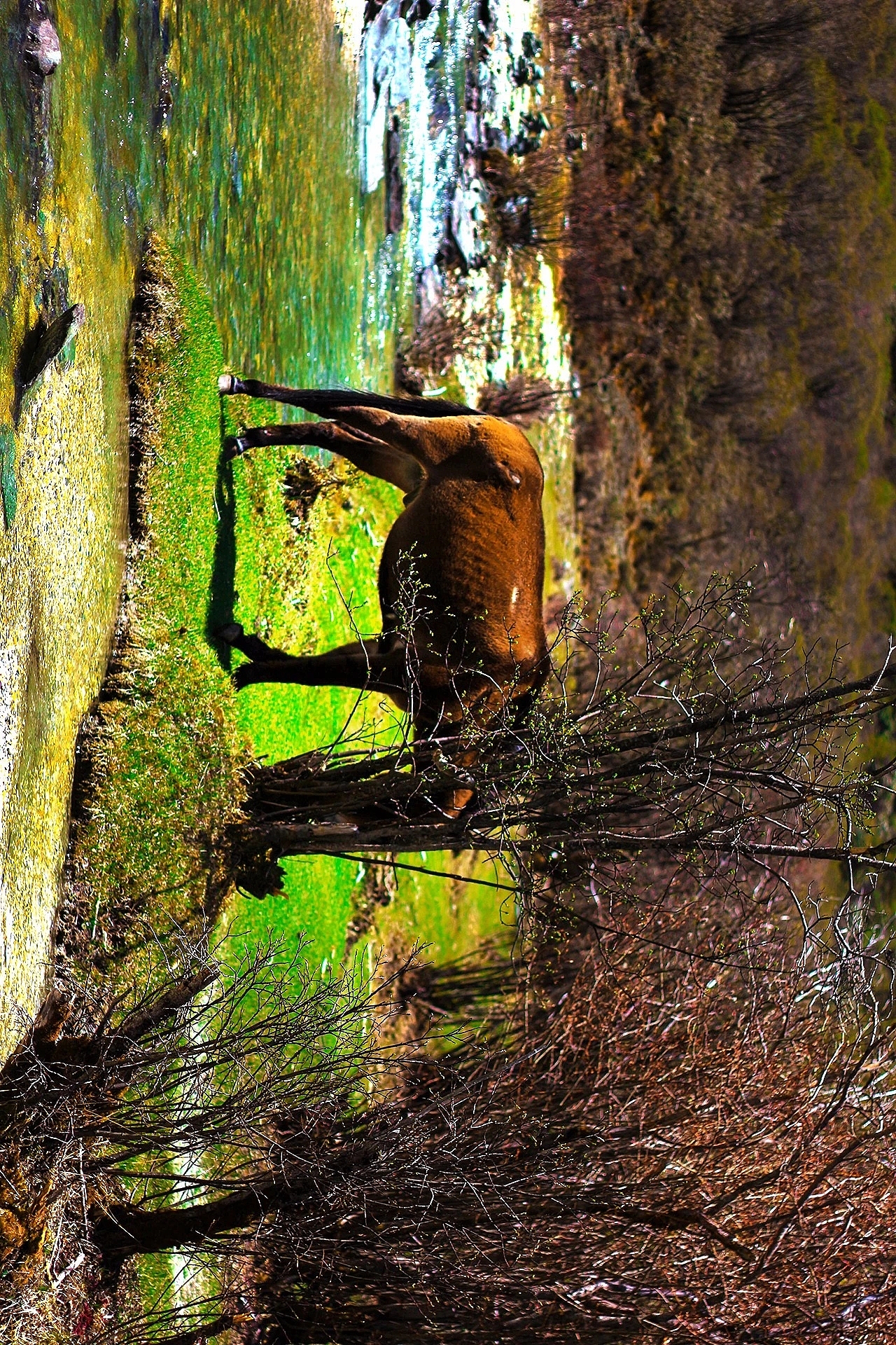 有那么点童话感了😯