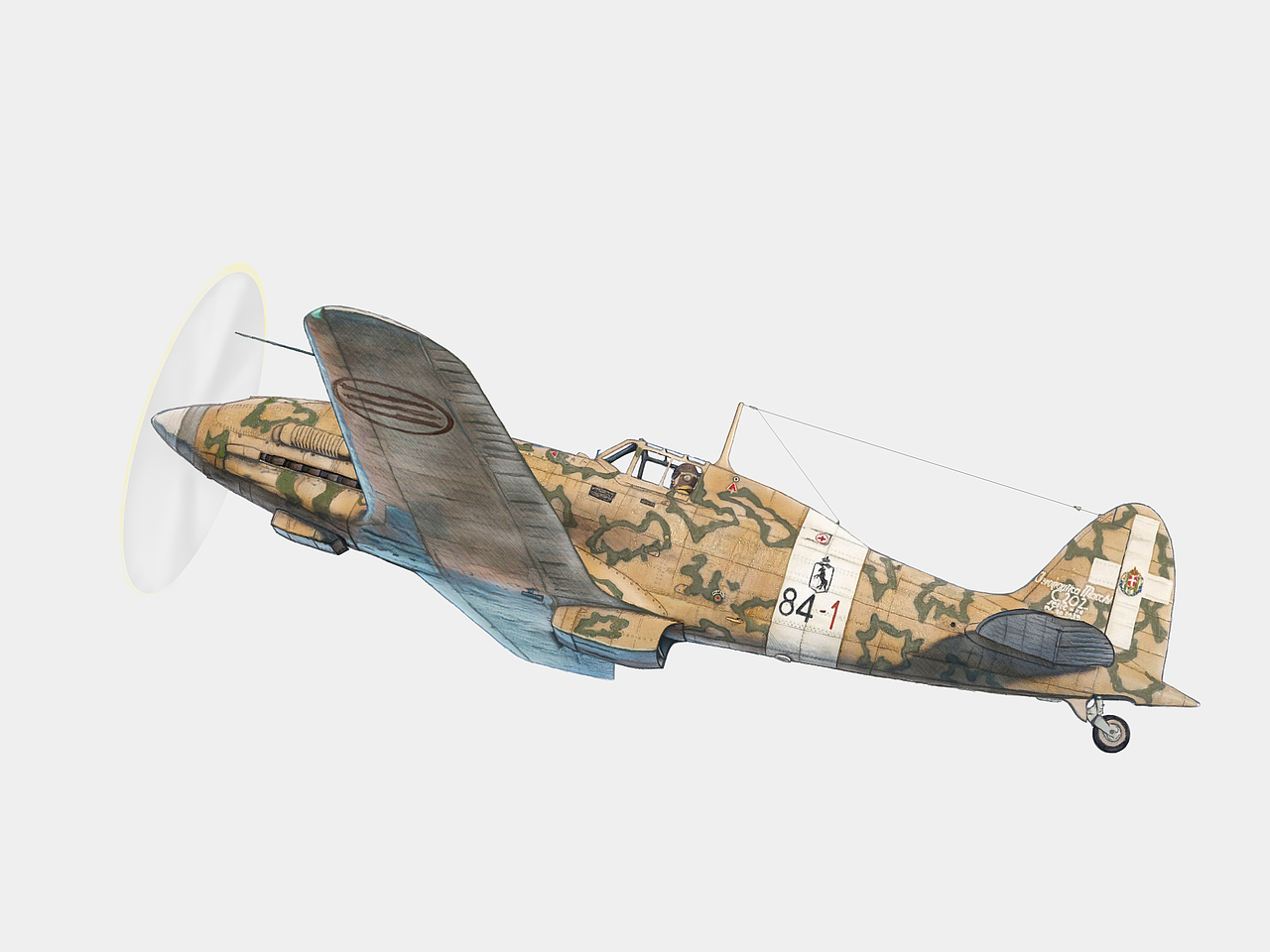 封绘战斗机意大利二战战机gjdaddygjdaddygjdaddygjdaddy2022年终总结