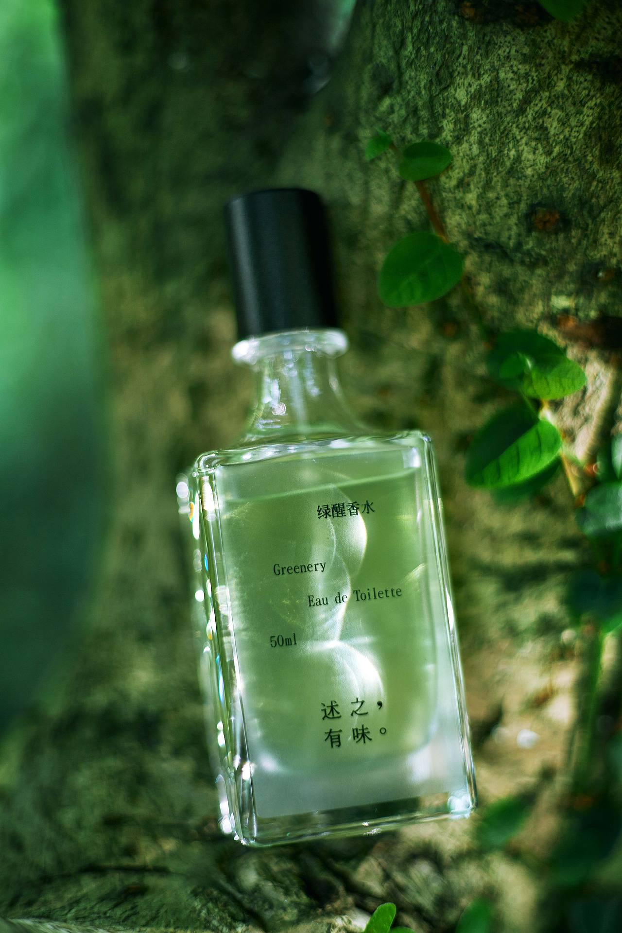 阳光是最好的滤镜