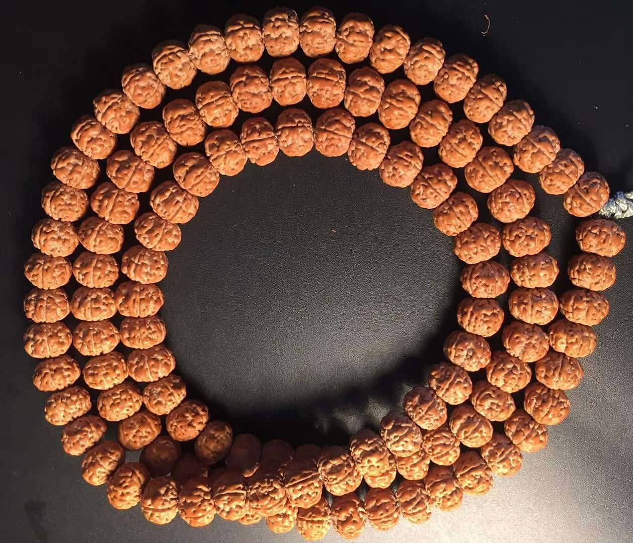 【五瓣树王 矮桩双龙纹】