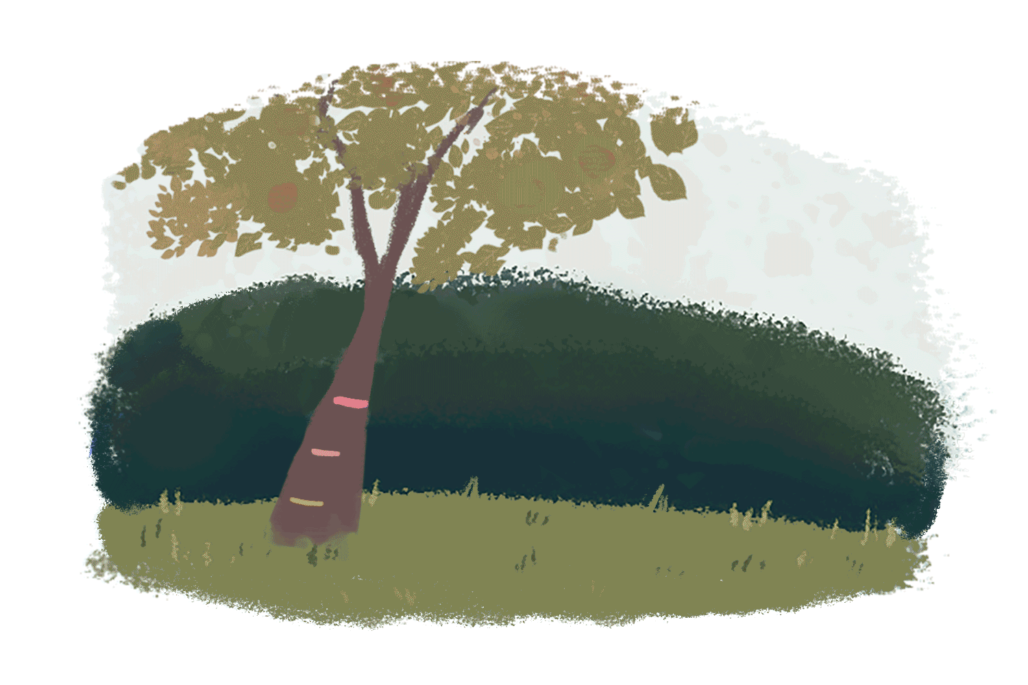 【四格】23个儿童绘本小故事（图ZMjQ3NjYzMzA4） - 儿童插画 - 站酷设计师Mercy_rc原创素材 - 站酷ZCOOL