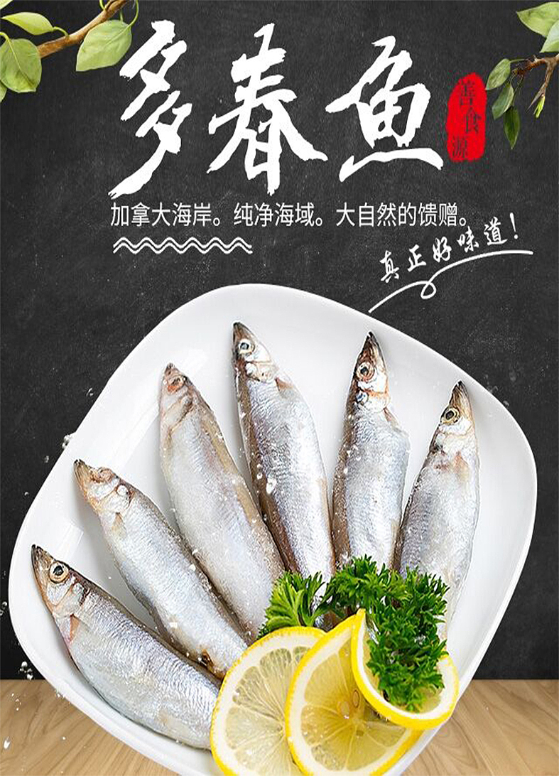 多春鱼（图ZMTIwMTA4MjYw） - 海报 - 站酷设计师错觉VC原创素材 - 站酷ZCOOL