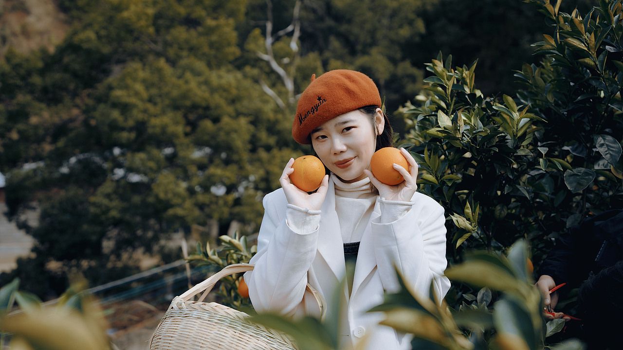 脐橙果园采摘写真