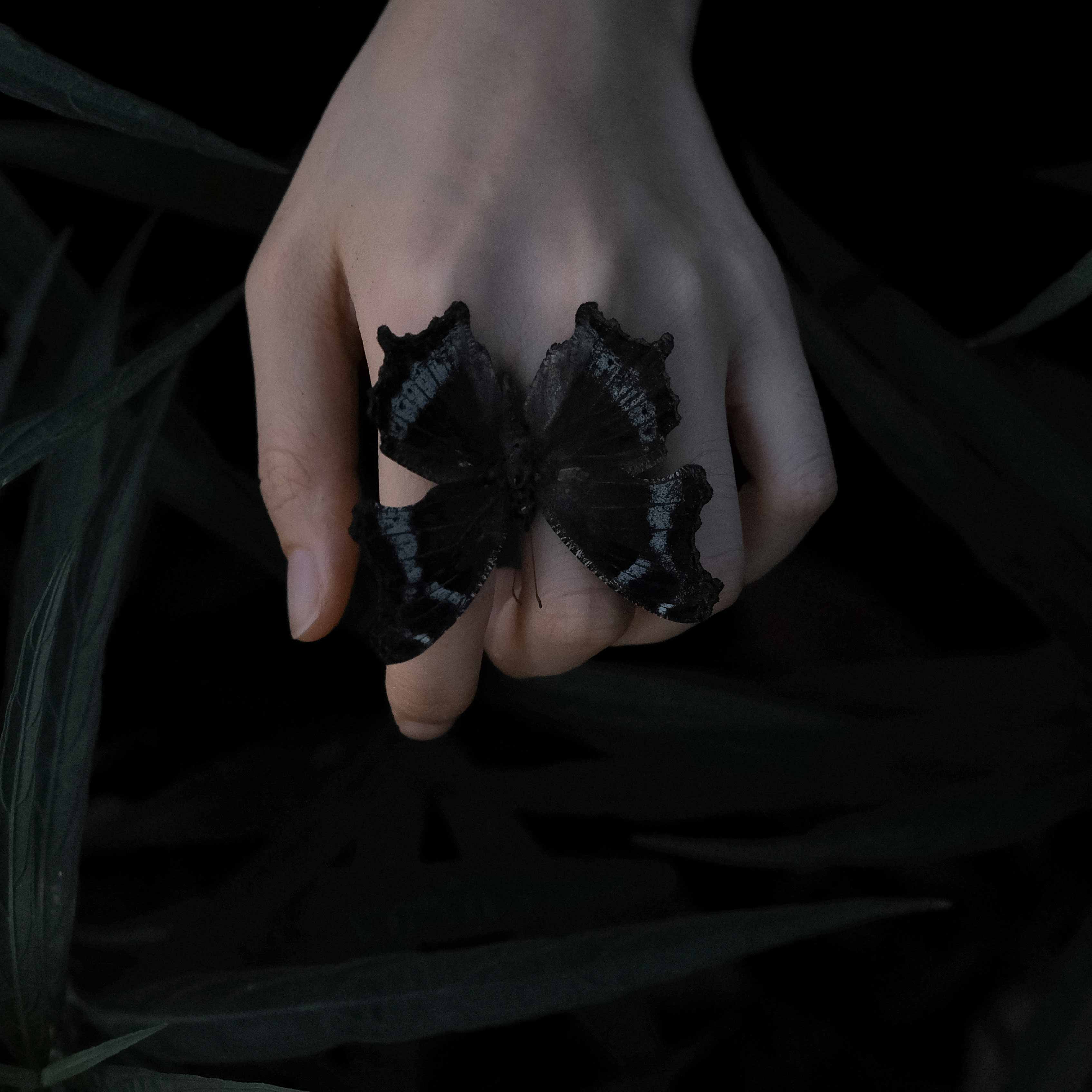 宅厝的个人主页（背景预览） - 主页背景设置 - 站酷设计师宅厝原创素材 - 站酷ZCOOL