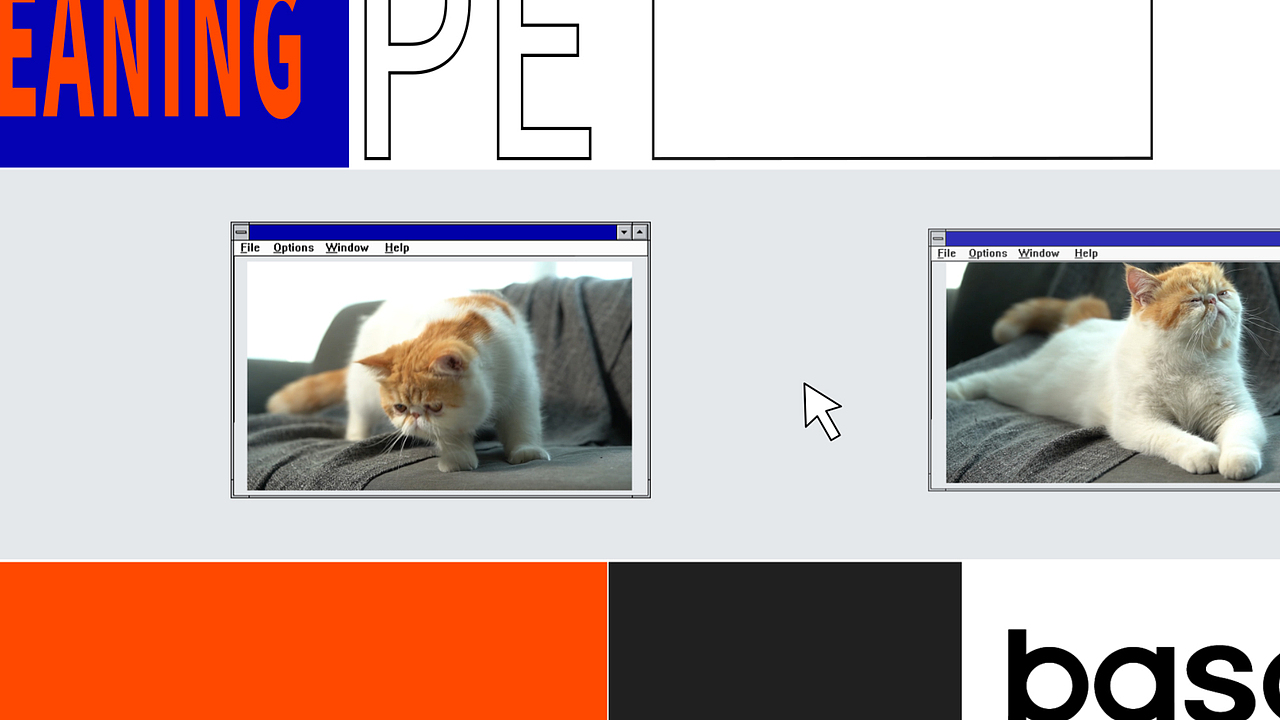 新鲜感科技 I basa