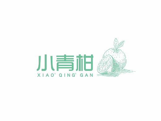 小青柑——礼盒包装