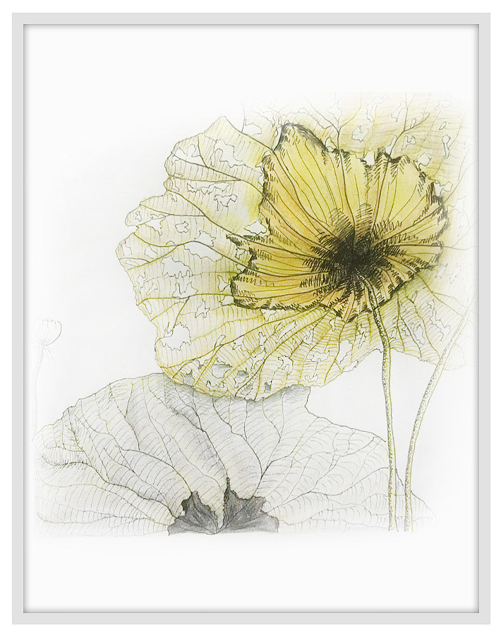 手绘大杂烩（图ZMTA2NTg0MjI4） - 绘画 - 站酷设计师小秋秋1001原创素材 - 站酷ZCOOL