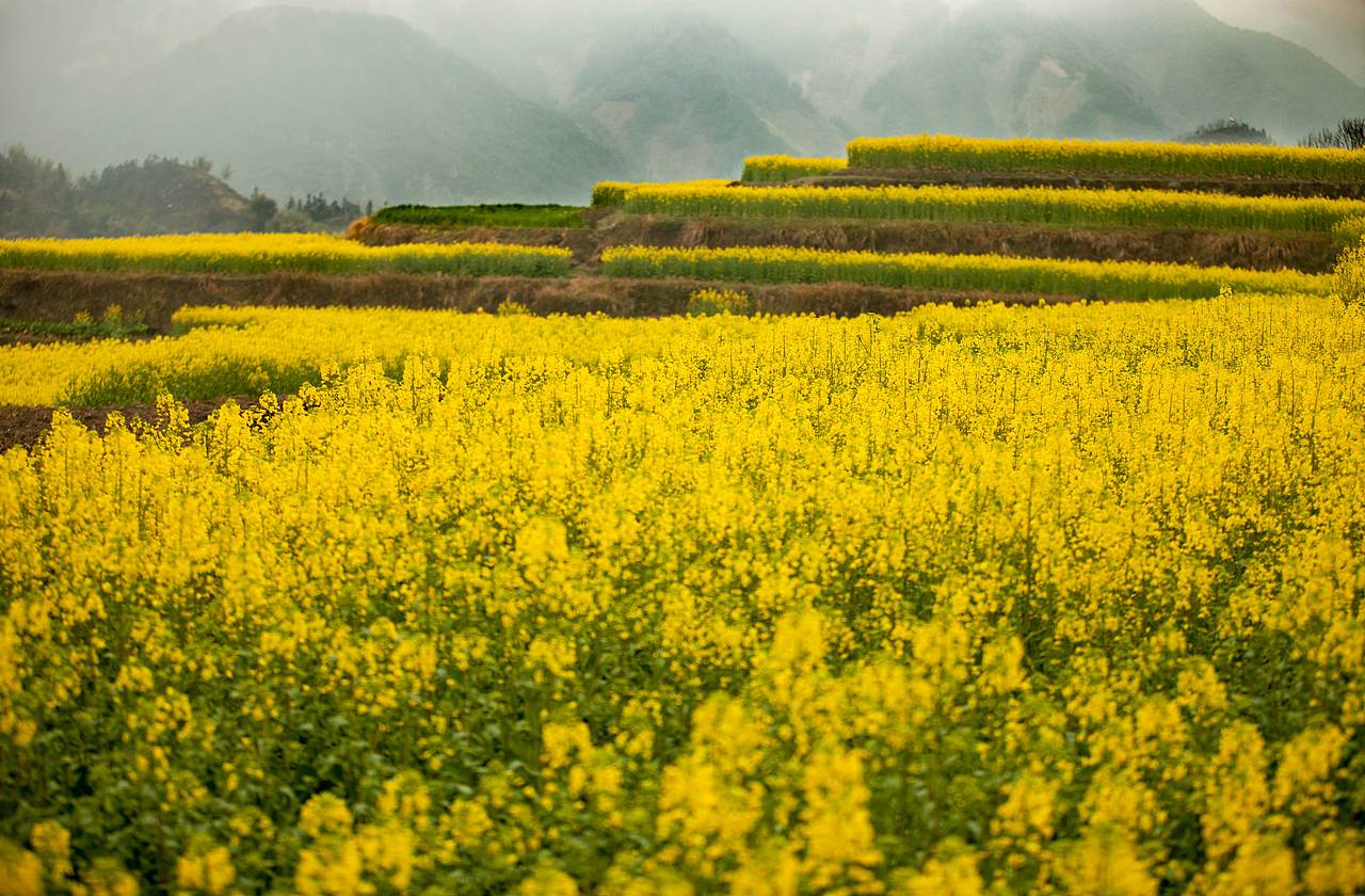 一步一景，步移景换，画里乡村（图ZNzQxMTA3Mjg=） - 风光摄影 - 站酷设计师伡晓原创素材 - 站酷ZCOOL