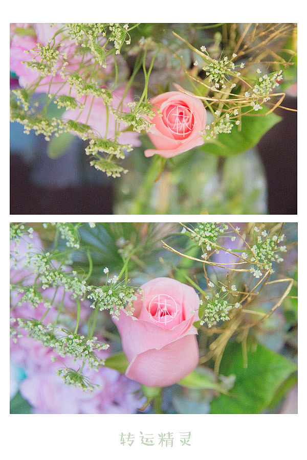 【二月静物拍摄】春之转运精灵（图ZMTA3NDU5NDAw） - 产品摄影 - 站酷设计师咖不哩原创素材 - 站酷ZCOOL