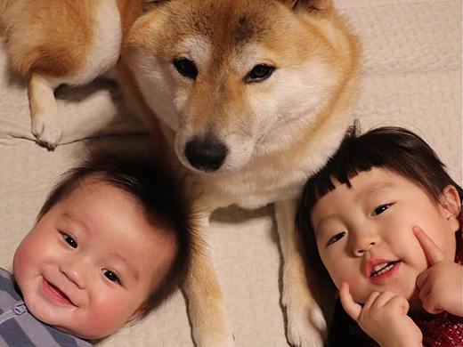 原来最有用的东西 是温暖和陪伴，:dog:狗也不例外（个人主页-ZMjc5OTQzNTY=） - 人像摄影 - 站酷设计师SUIVERSE宇宙视觉原创素材 - 站酷ZCOOL