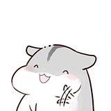 锦初37200810的头像