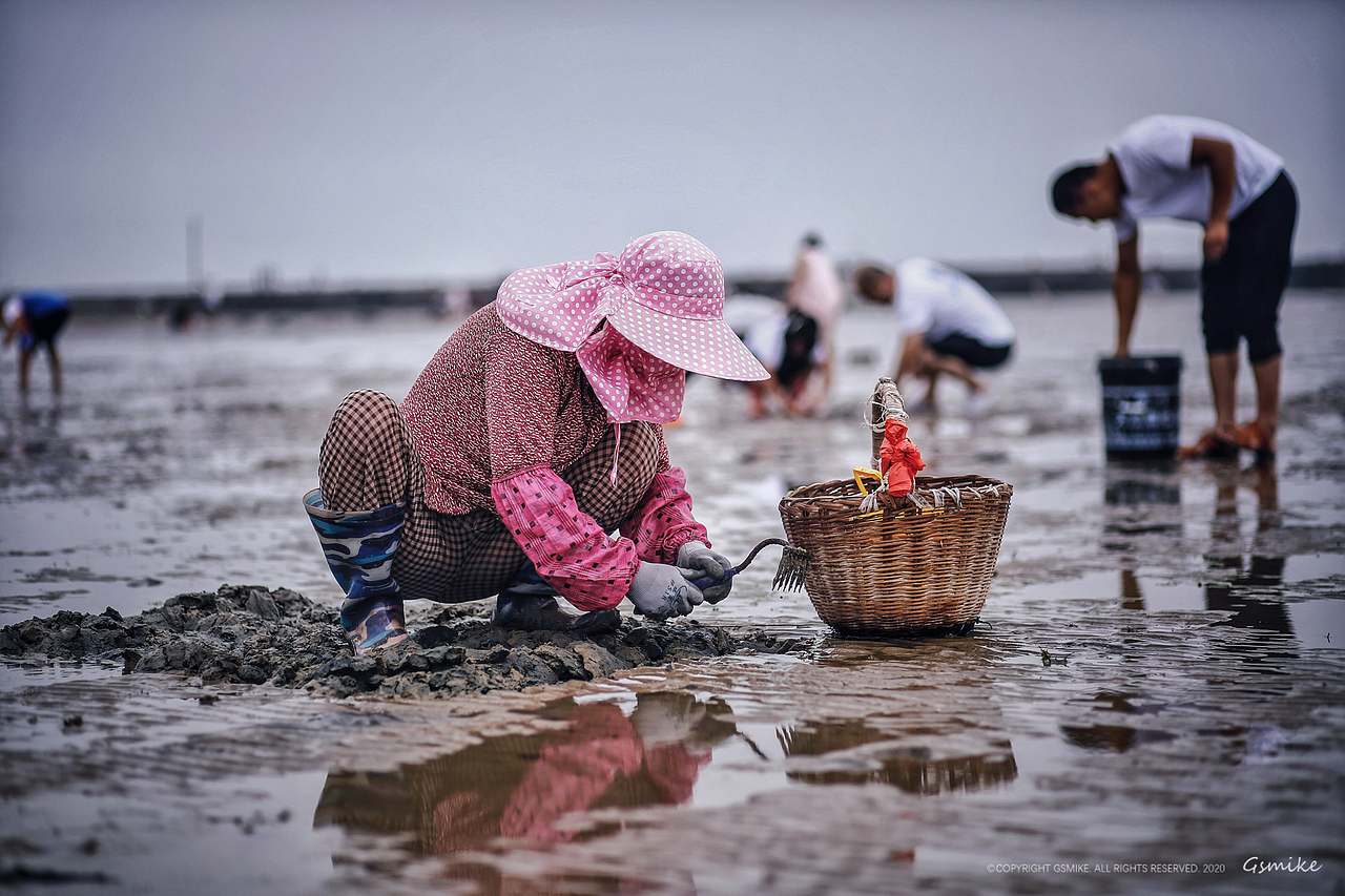 去海滩,不一定要找最美的贝壳,却要找最喜欢的贝壳,如果找到了,就再也不要去海滩了
<br>