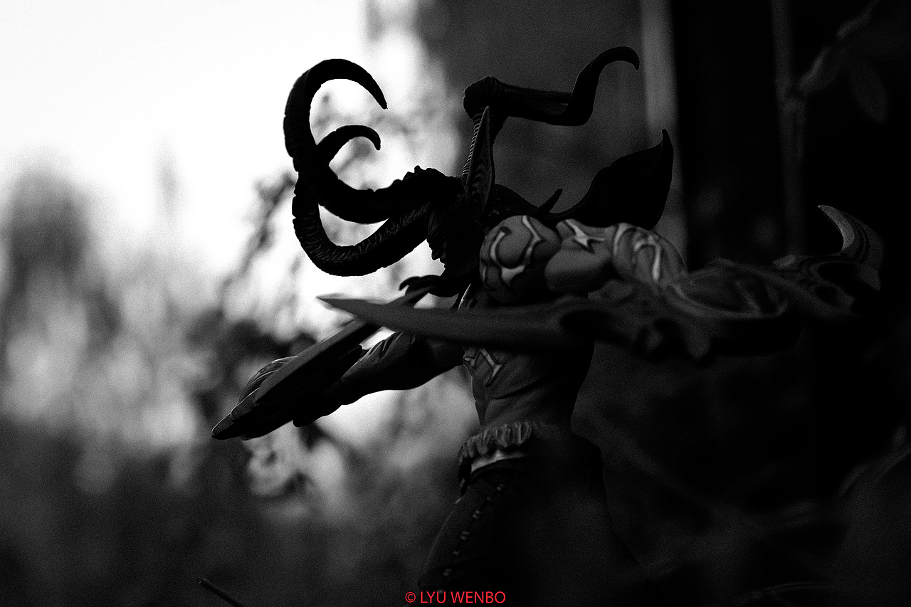 随手拍拍伊利丹合体