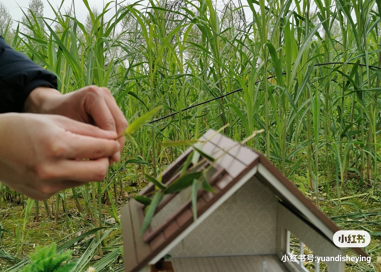 从小就有医生梦（图ZMjAzNzMxNTI4） - 人像摄影 - 站酷设计师不圆的袁笛原创素材 - 站酷ZCOOL