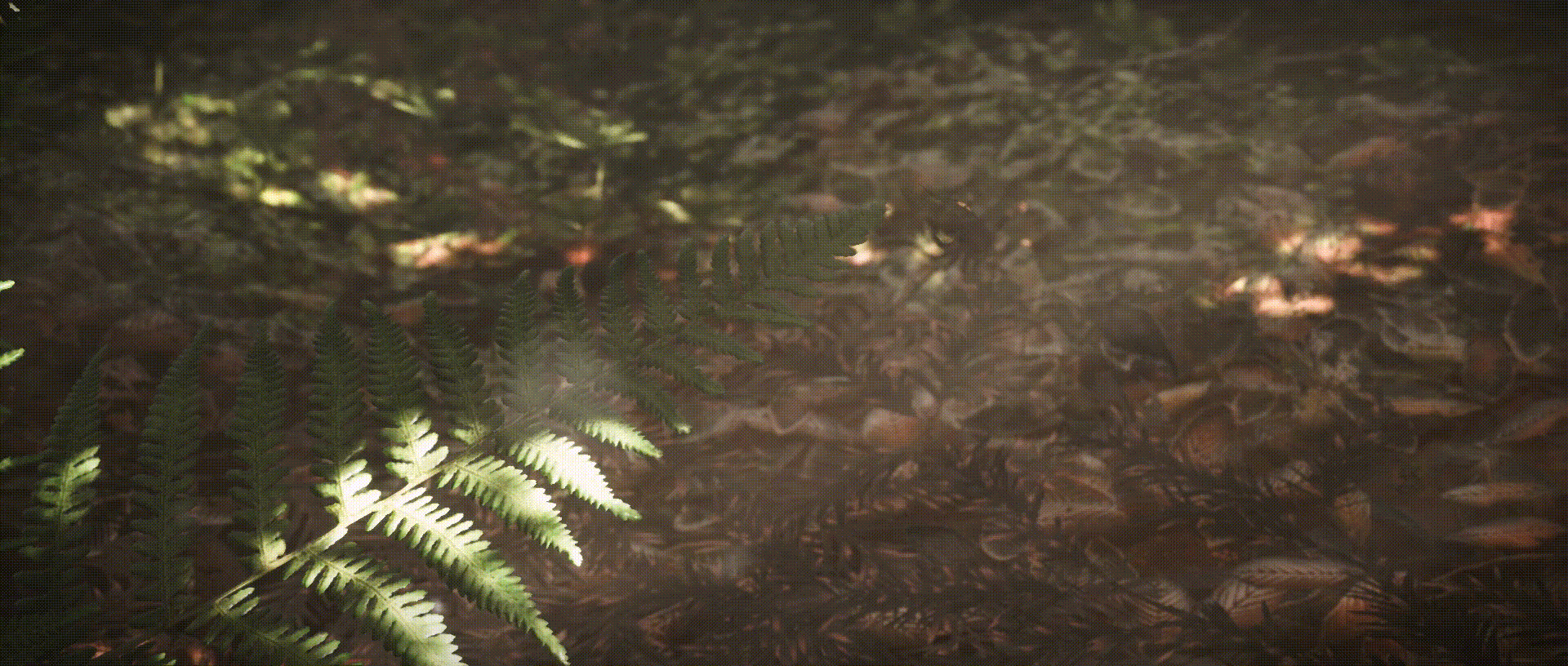 Misty Forest-Animation(图ZMjMwMTIwMjU2) - 动画/影视 - 站酷设计师ZixiIceyy原创素材 - 站酷ZCOOL