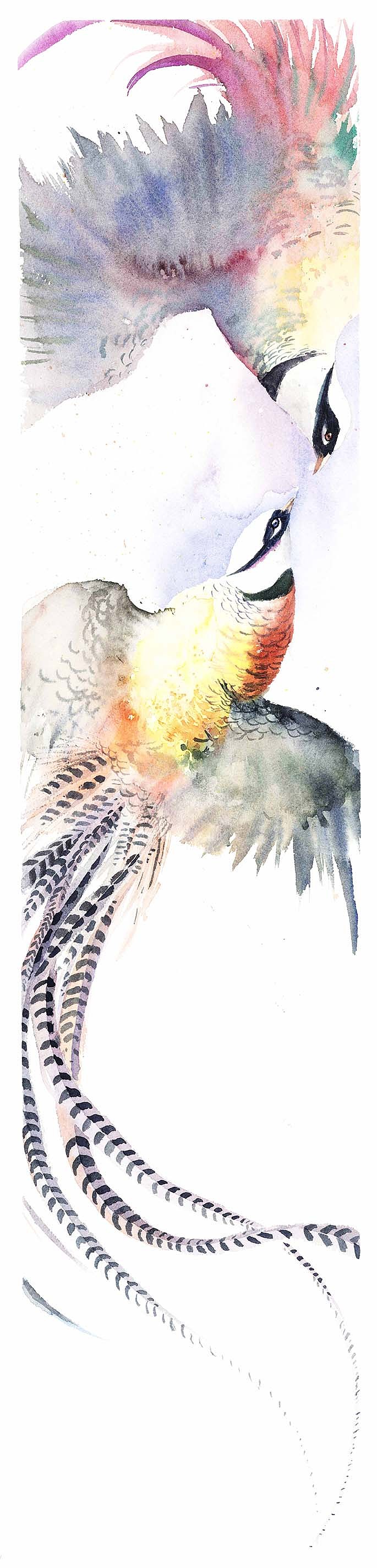 一組禽鳥（圖ZMTMwNTg1NTI4） - 藝術(shù)插畫 - 站酷設(shè)計(jì)師白比原創(chuàng)素材 - 站酷ZCOOL