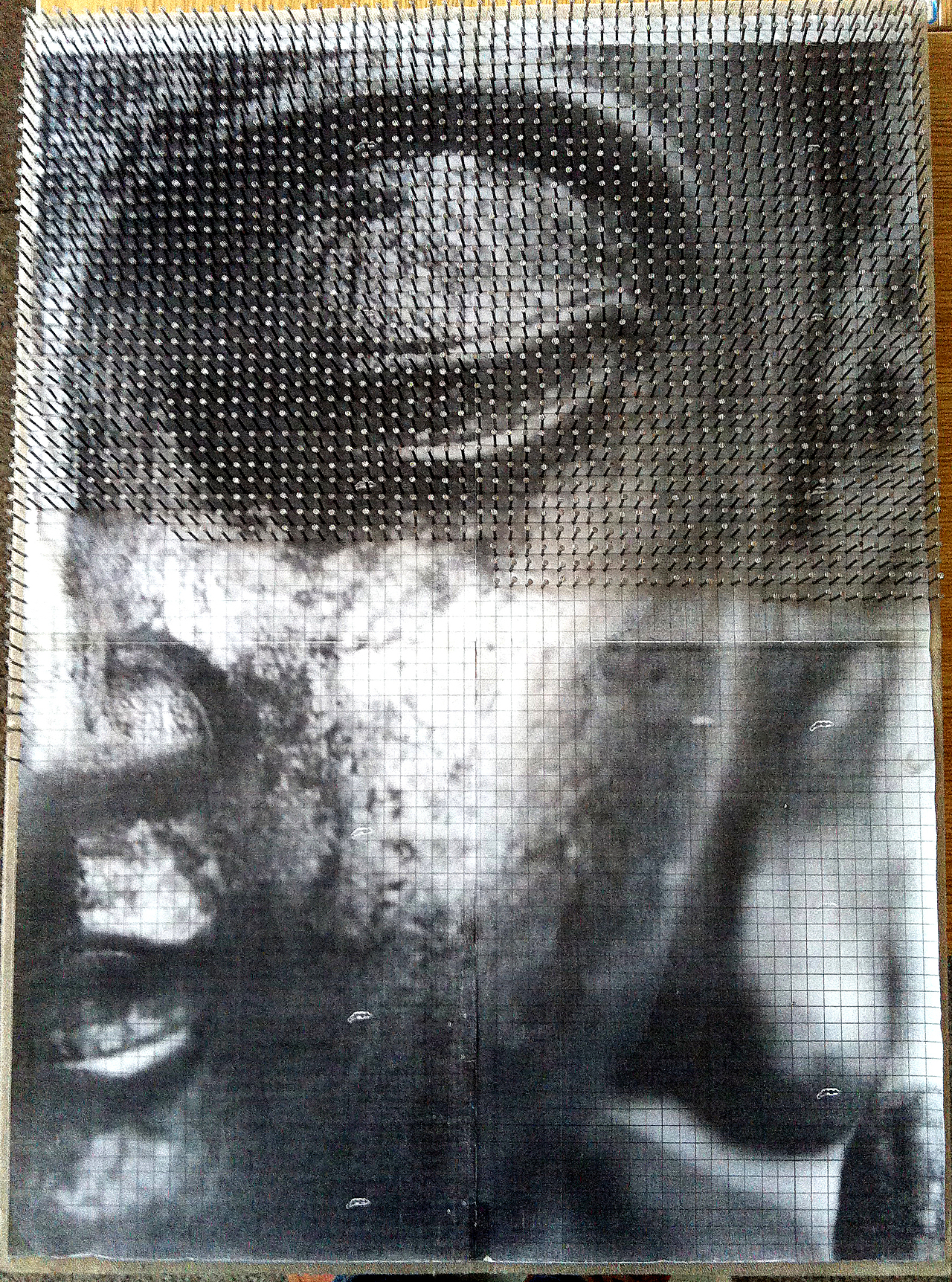 纤维艺术设计--佛半张脸（图ZOTA5MjAwNzY=） - 其他手工艺 - 站酷设计师费勤龙原创素材 - 站酷ZCOOL