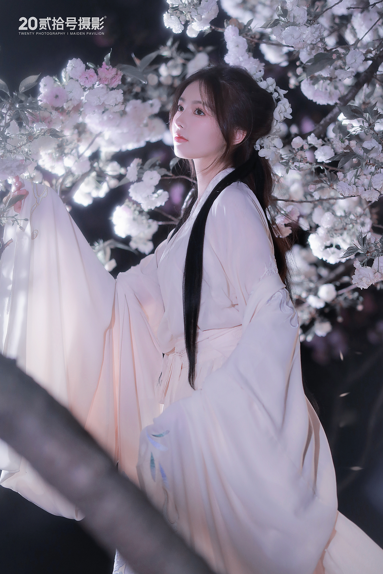 夜樱（图ZMjk1MzMyOTg0） - 人像摄影 - 站酷设计师贰拾号摄影原创素材 - 站酷ZCOOL