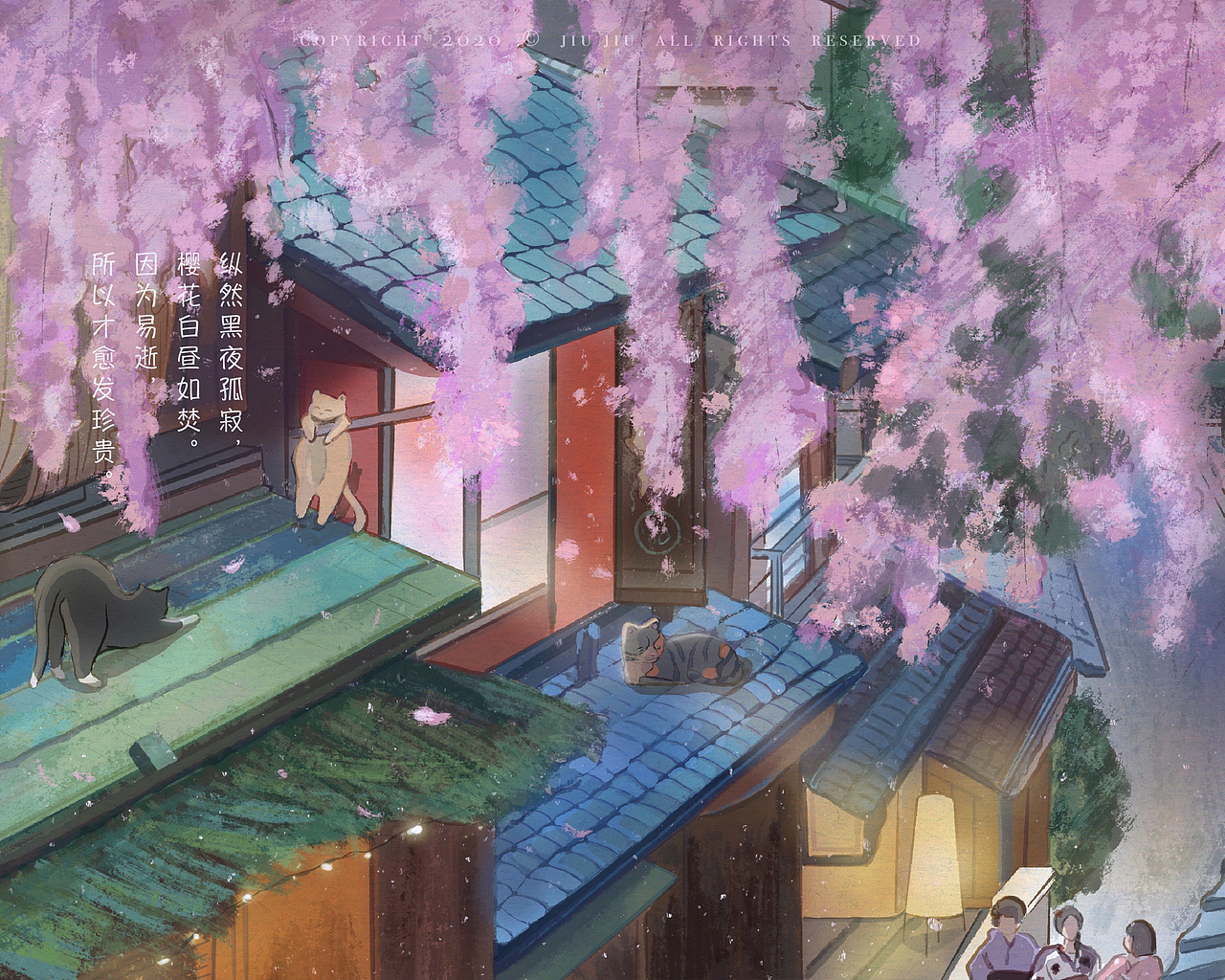 樱花夜