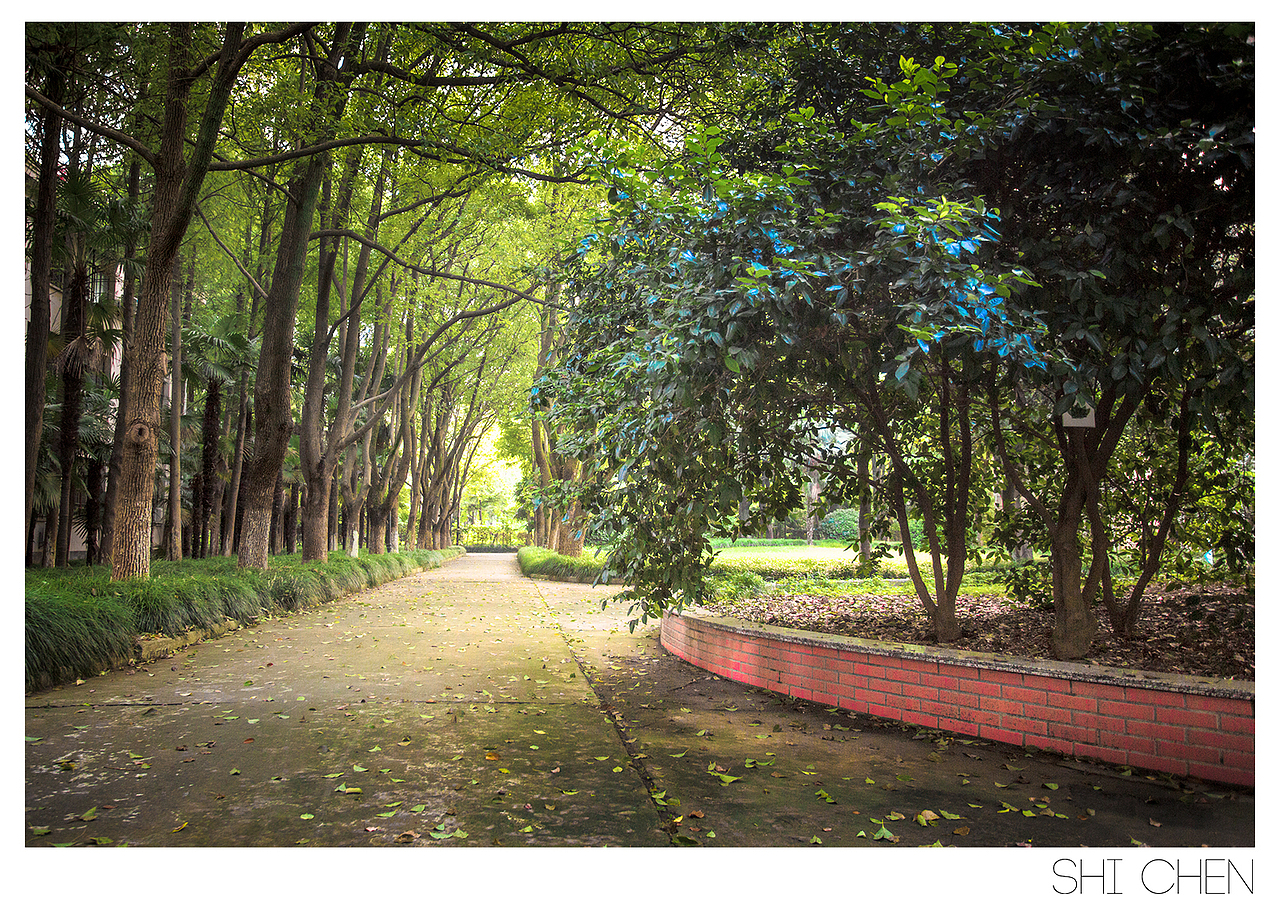 一组校园小清新（图ZMTkxMTI5Njg=） - 风光摄影 - 站酷设计师zhzxsc原创素材 - 站酷ZCOOL