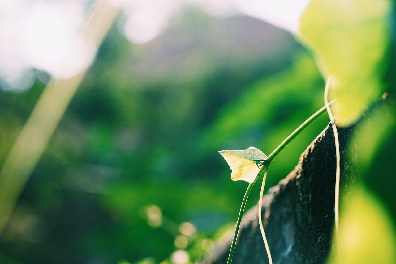 厦门之行（图ZOTMwODIyMjQ=） - 风光摄影 - 站酷设计师靖桦原创素材 - 站酷ZCOOL