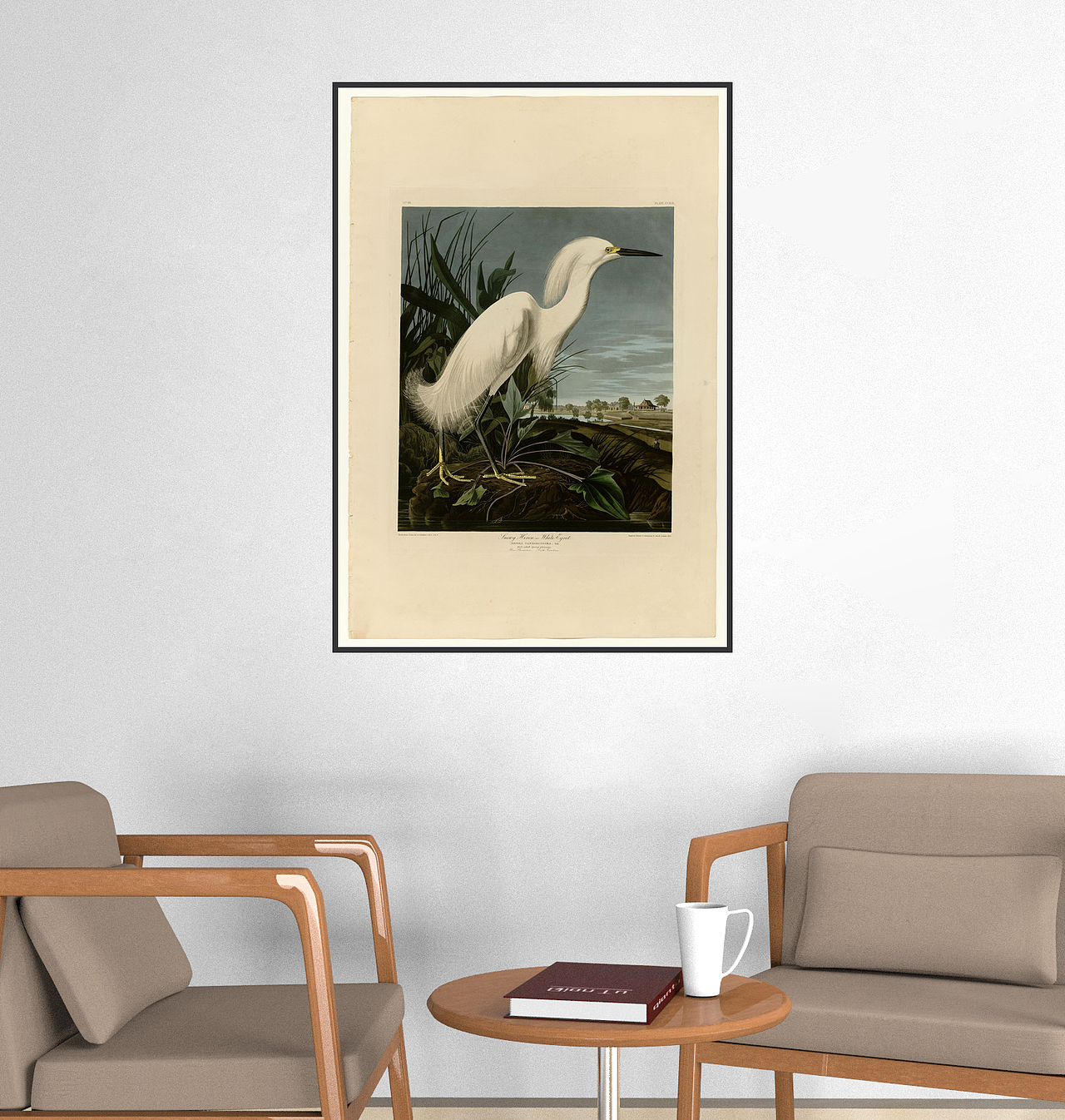 欧美鸟类装饰画