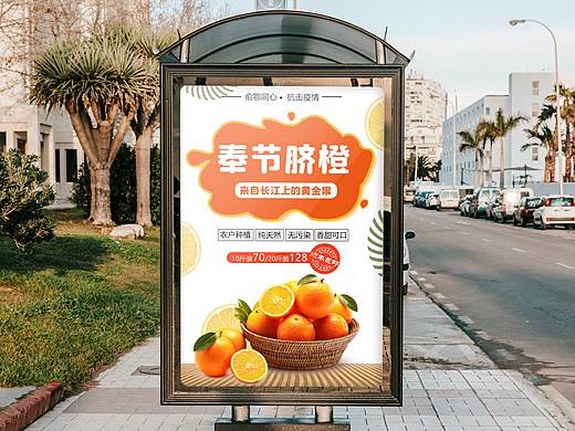 奉节脐橙海报