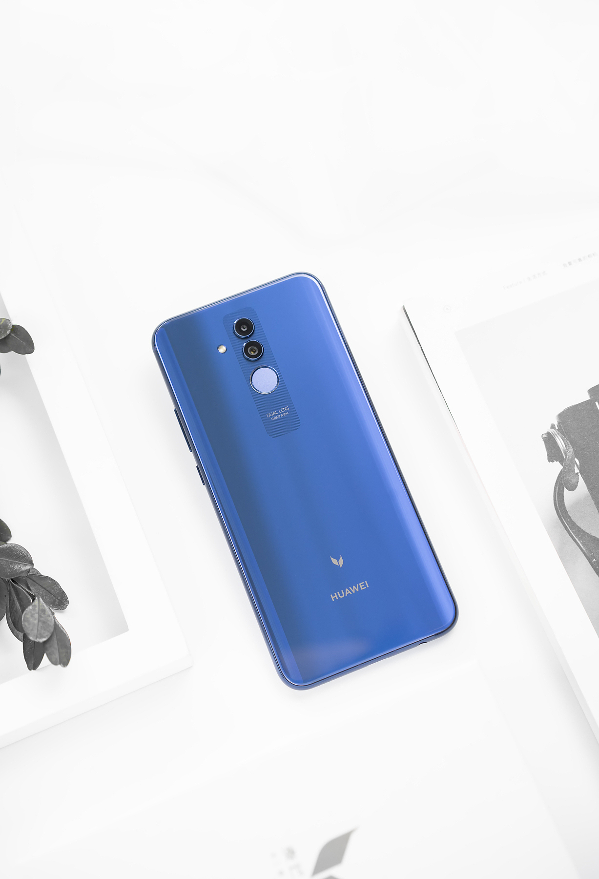 静物练习:华为麦芒7 魅海蓝图赏