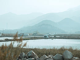 景