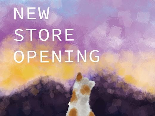 new store opening 性冷淡风