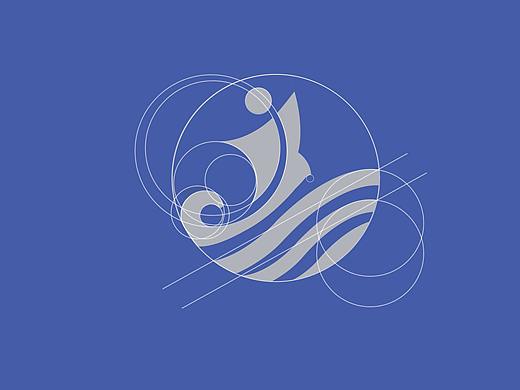 凭“星”而来,“鲨”耀新生logo设计