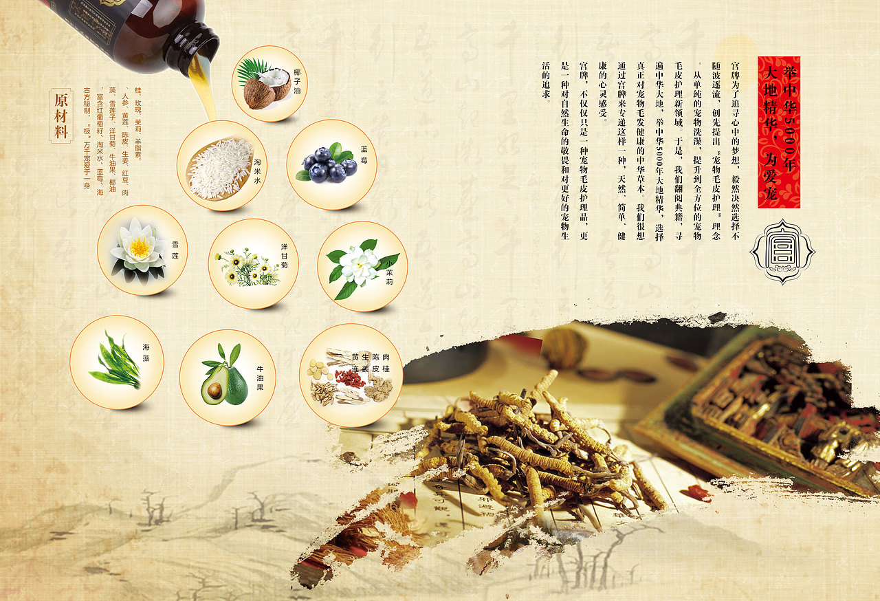 宠物用品沐浴露设计