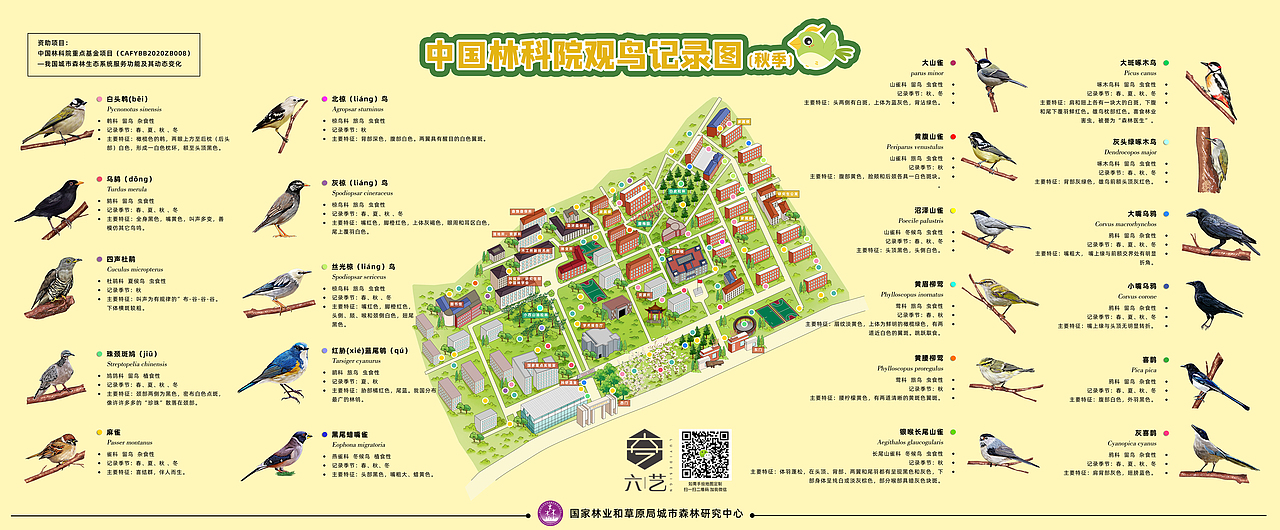 中国林科院春夏秋冬四季鸟类分布导览图集团手绘地图